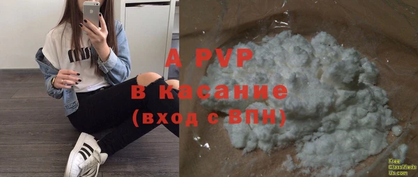 прущий лед Пересвет