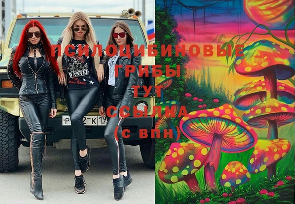 прущий лед Пересвет