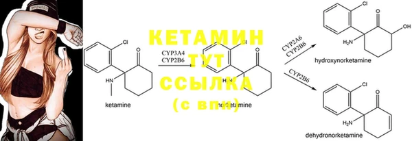 прущий лед Пересвет