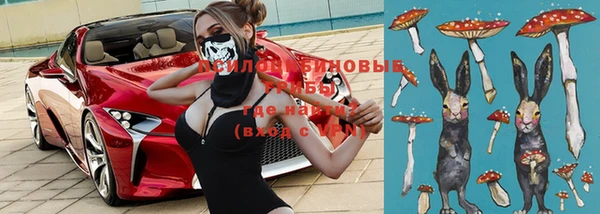 прущий лед Пересвет