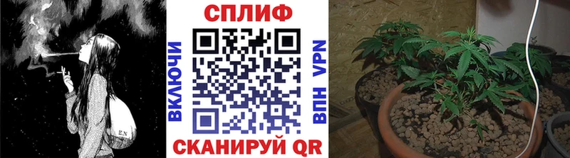 МАРИХУАНА Ganja  наркошоп  Электроугли 